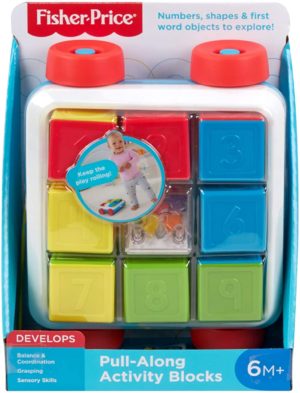 Roll over image to zoom in Fisher-Price Pull-Along Activity Blocks Colorful Stacking and Sorting Toy GJW10